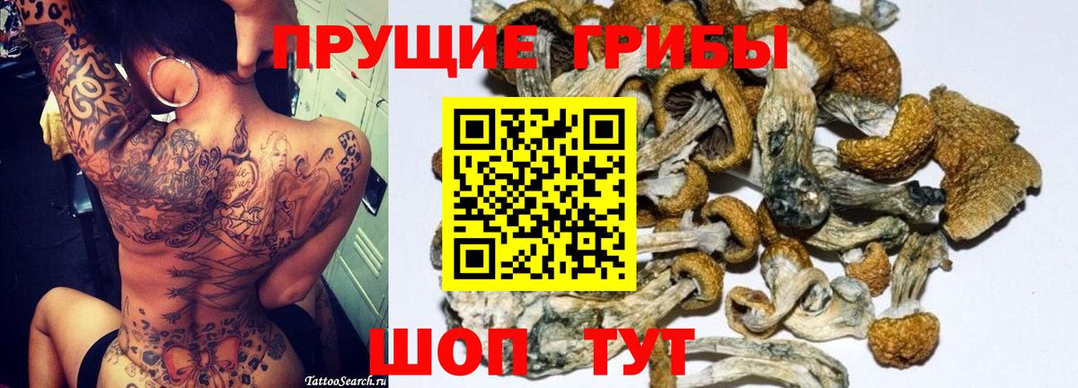 Галлюциногенные грибы Psilocybe  Вход с VPN  закладки  Минеральные Воды 