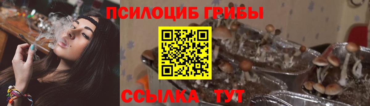 Псилоцибиновые грибы MAGIC MUSHROOMS Минеральные Воды